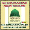 Islamic Conference photo 1