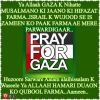 Concluding Dua at Conference